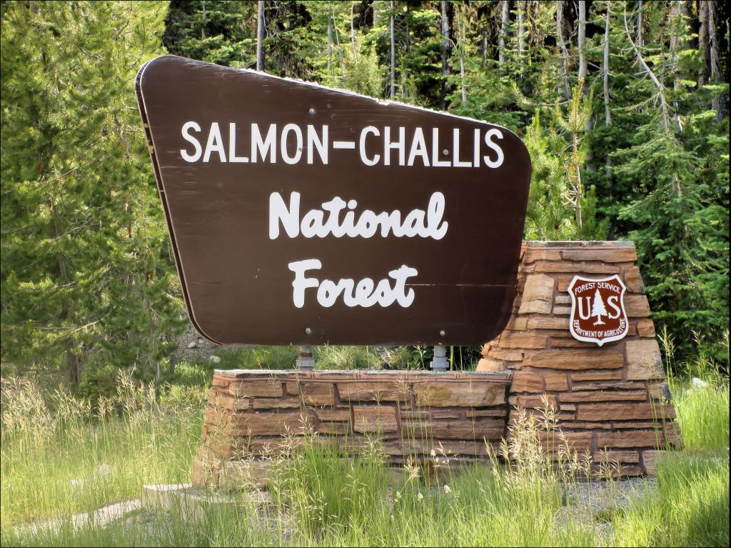 SALMON-CHALLIS NATIONAL FOREST: 5 Churches 9 Businesses 8 Restaurants 4&nbsp;Shelters