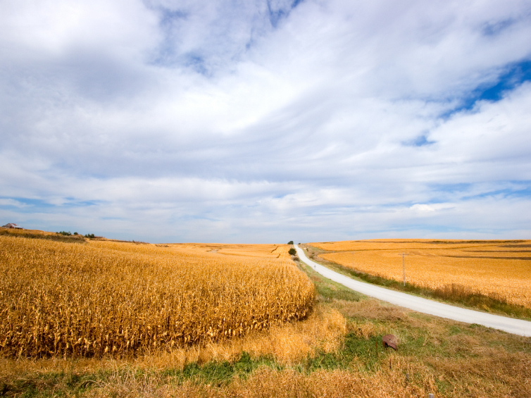 IOWA: 23 Farms 9 Vineyards $32,000,000